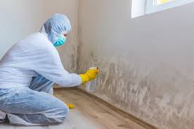 Best Industrial Mold Remediation  in Blue Mountain, MS